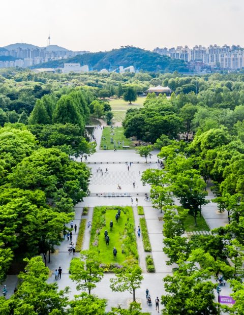 06P01624Ac72000 (1)
